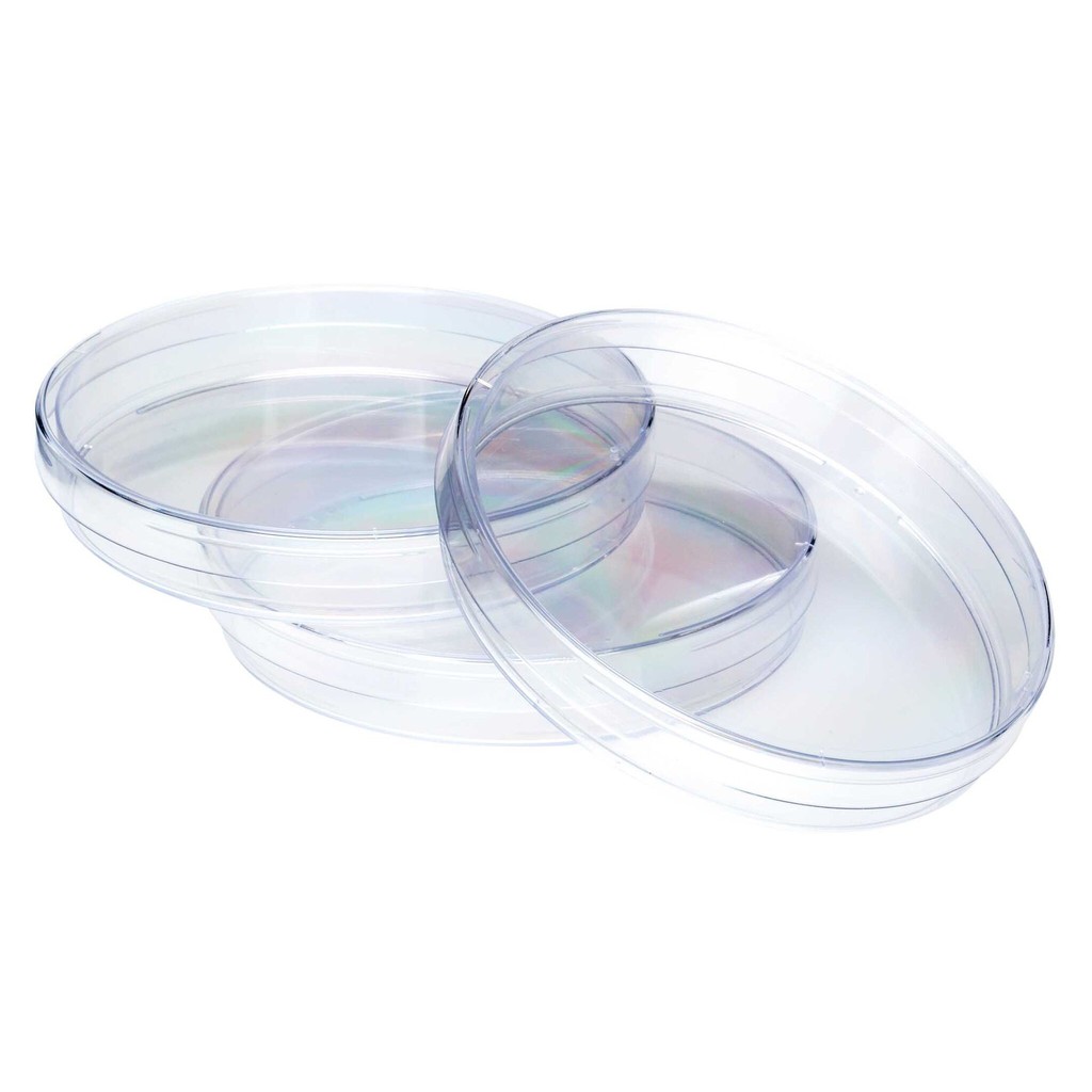 чашка Петри